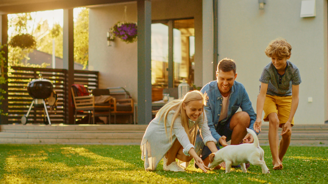 Smiling,Father,,Mother,And,Son,Pet,And,Play,With,Smooth
