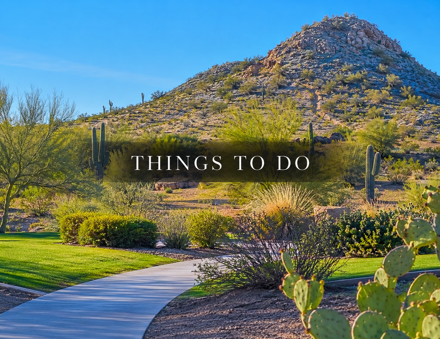 things to do in desert ridge