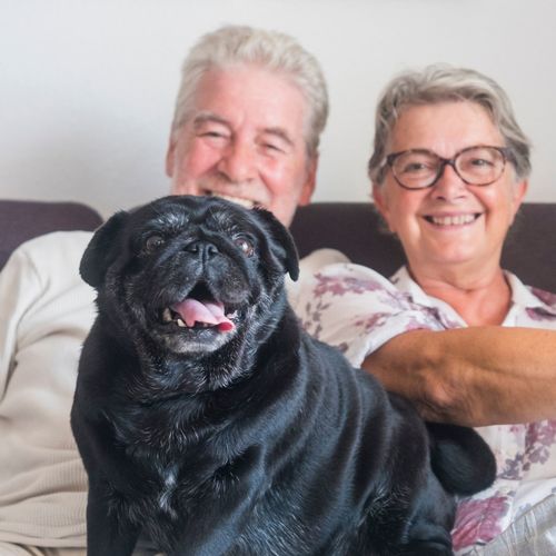 Downsizing With Pets: Senior Living Options in Bucks County and Mercer County