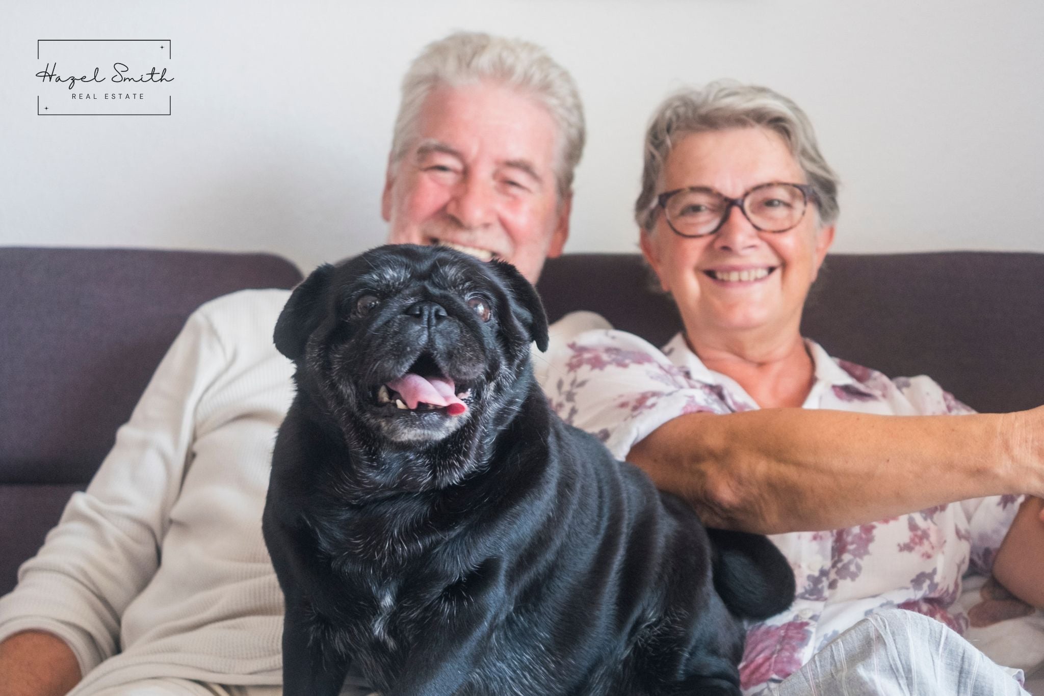 Downsizing with Pets