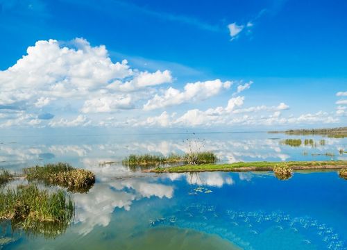 Lake Apopka with clouds and blue sky