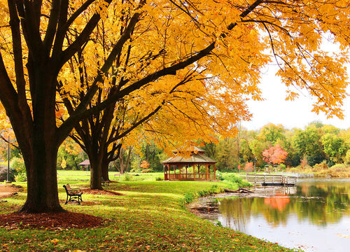 Midwest-nature-background-with-park-view