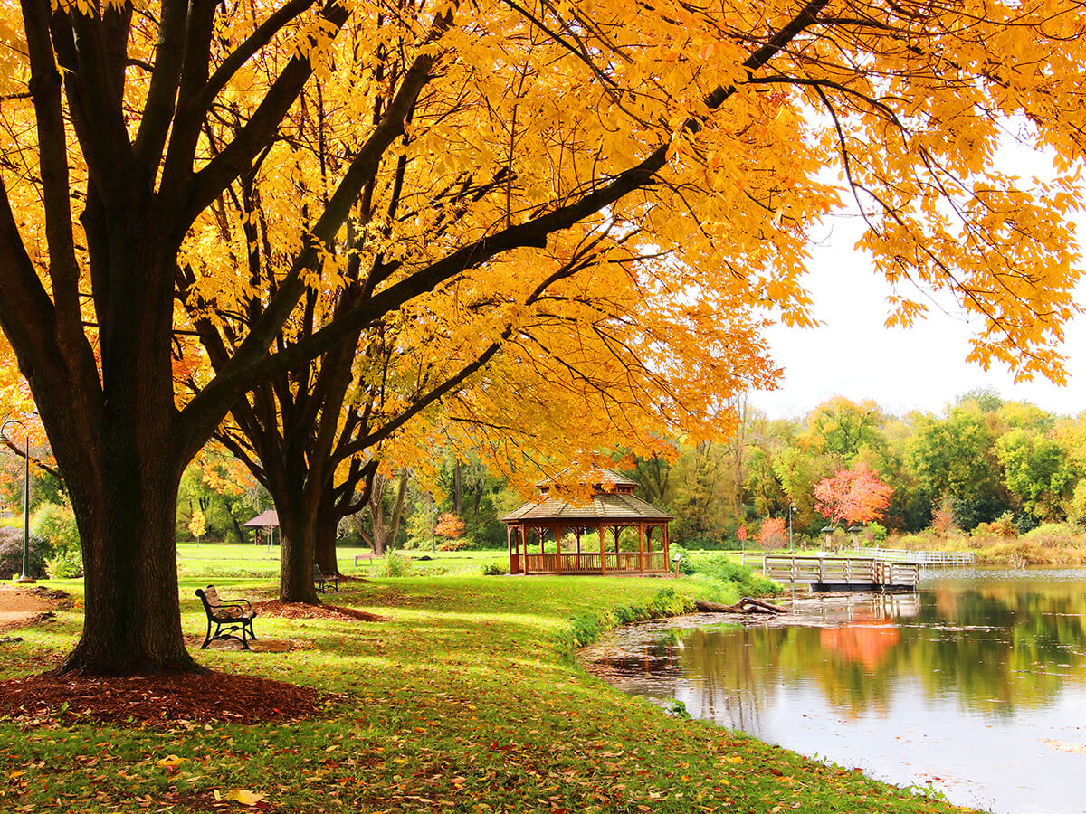 Midwest-nature-background-with-park-view
