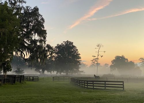 Pasture in Ocala, Florida