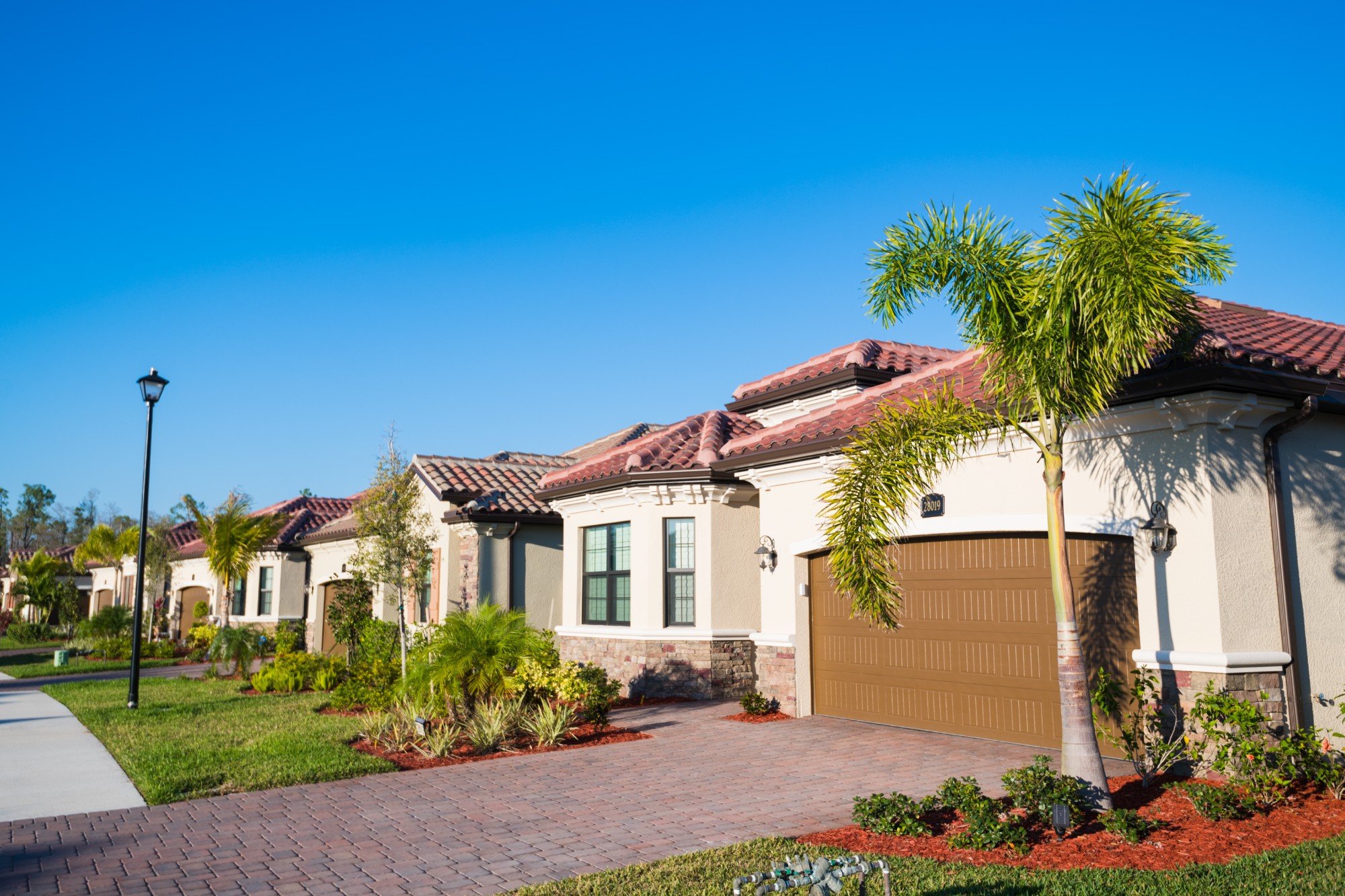 modern suburban tropical homes