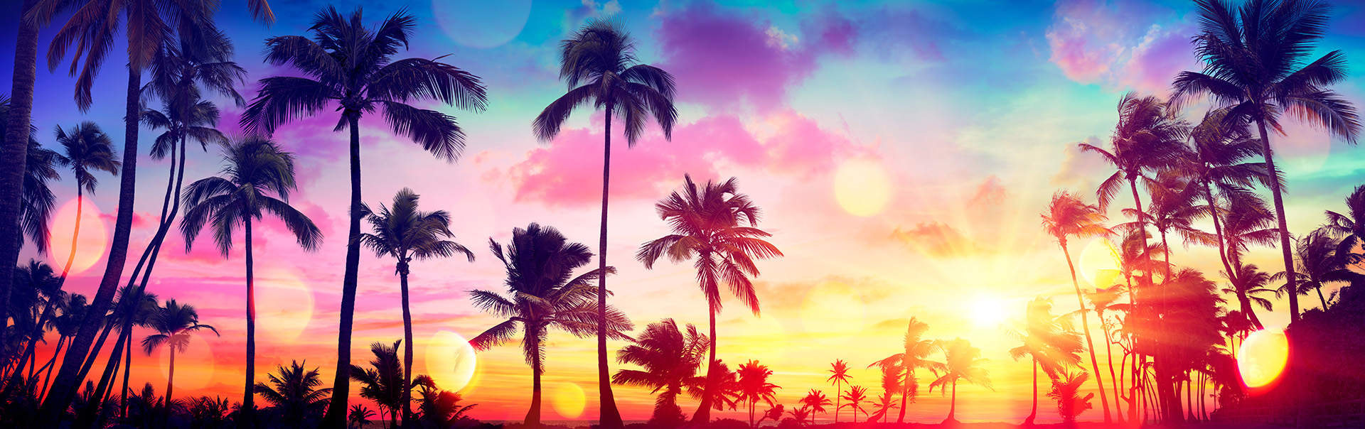 Silhouette,Tropical,Palm,Trees,At,Sunset,-,Summer,Vacation,With