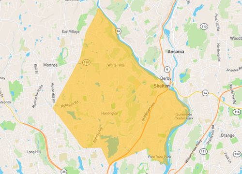 shelton.png