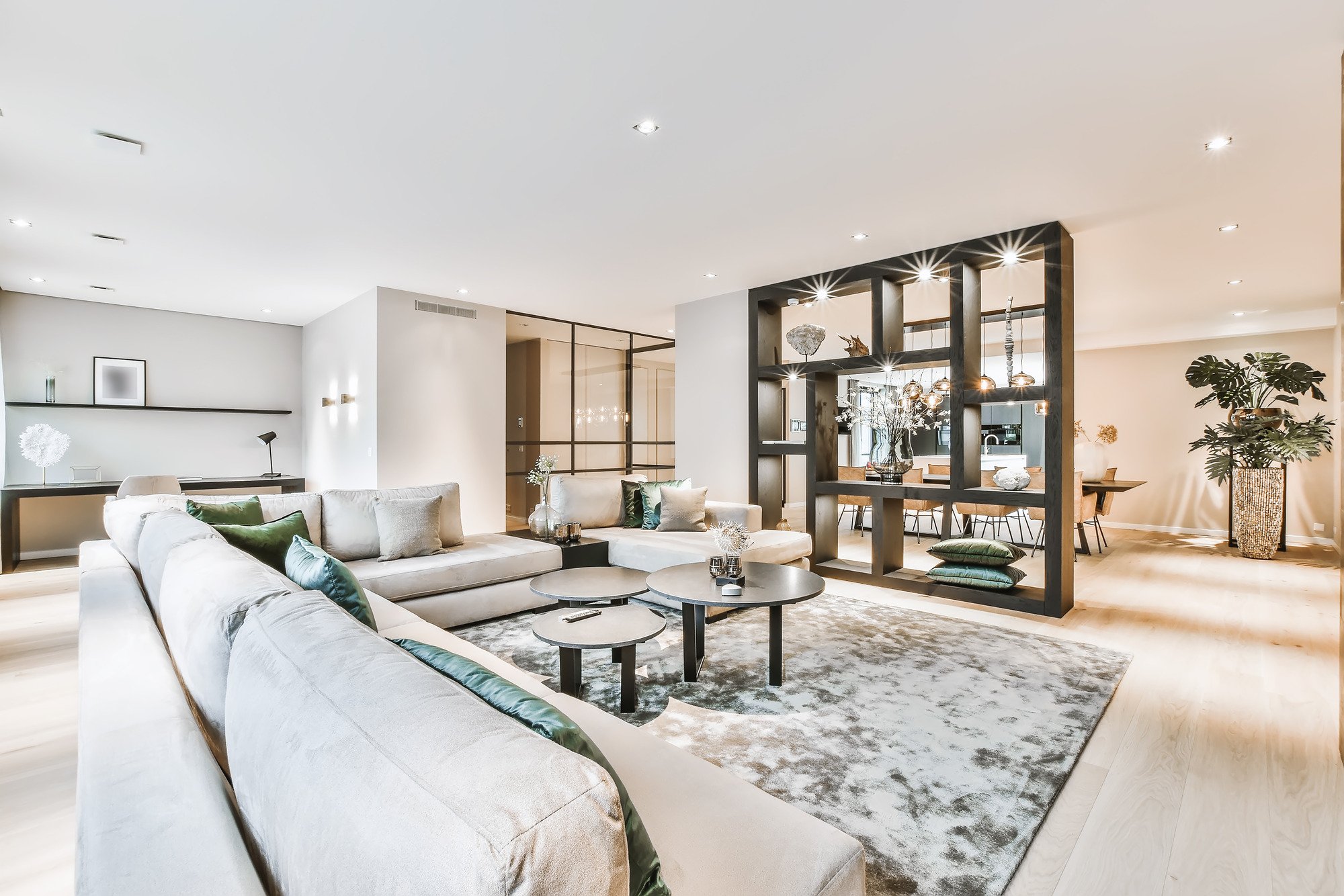 modern open living space 1