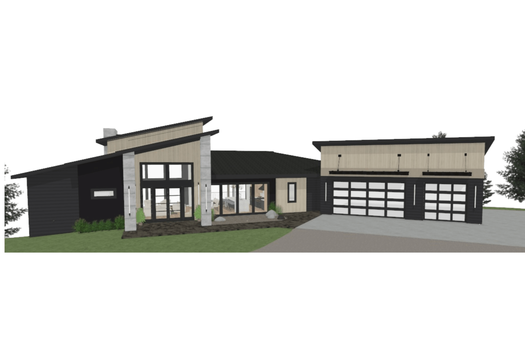 modern black wooden house