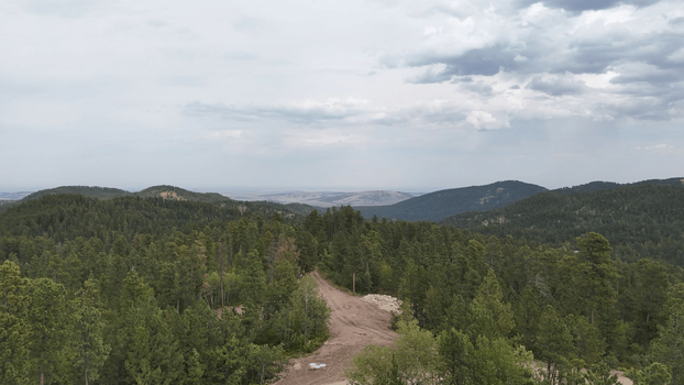mountain forest trail view