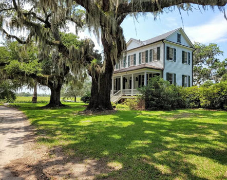 Wadmalaw Island (3) (1)