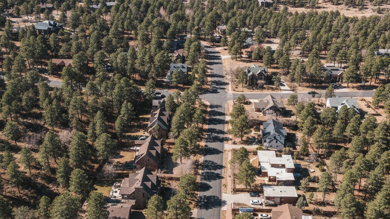 image - 2026-06-23T140350.487