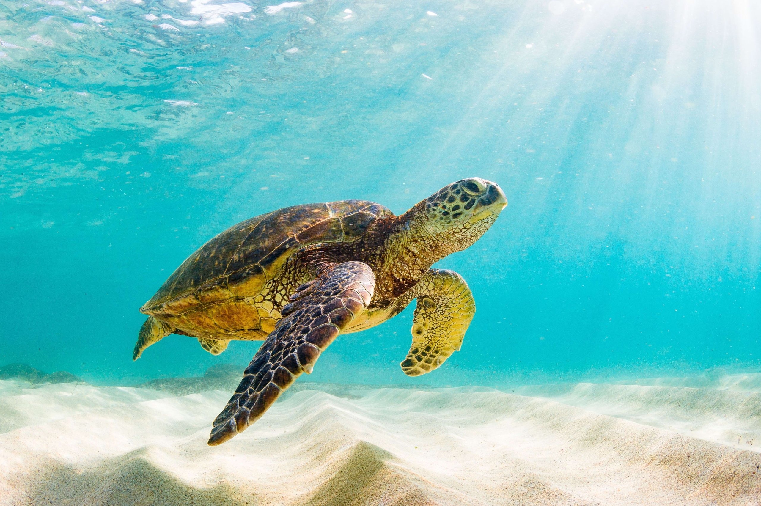 bgx9h7h084ysbllpd1earc9n