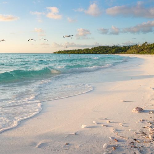 Hidden Gems in Anna Maria Island: Discover the Unseen Spots