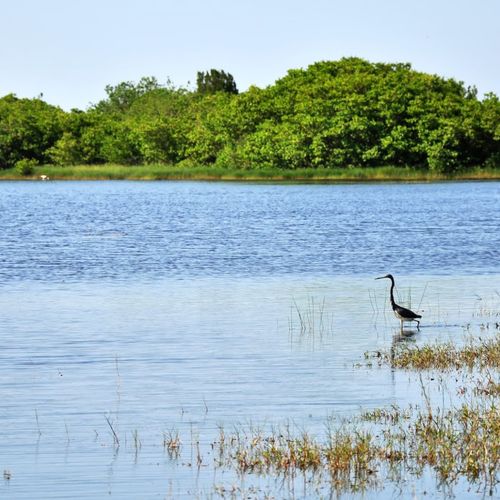 Discover the Best Longboat Key Parks and Coastal Escapes