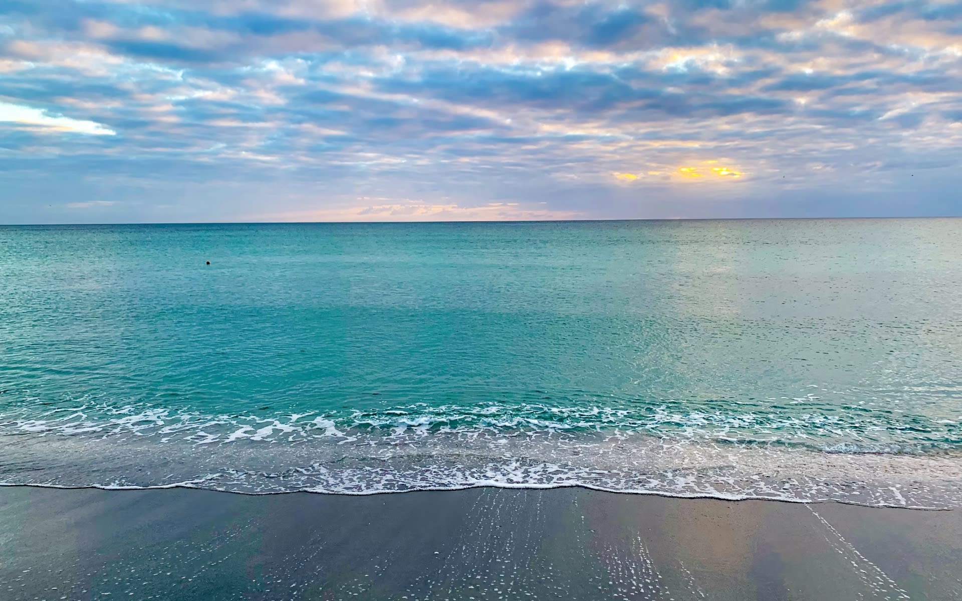 v5cngfee0edrfd7z3bfjmgtp