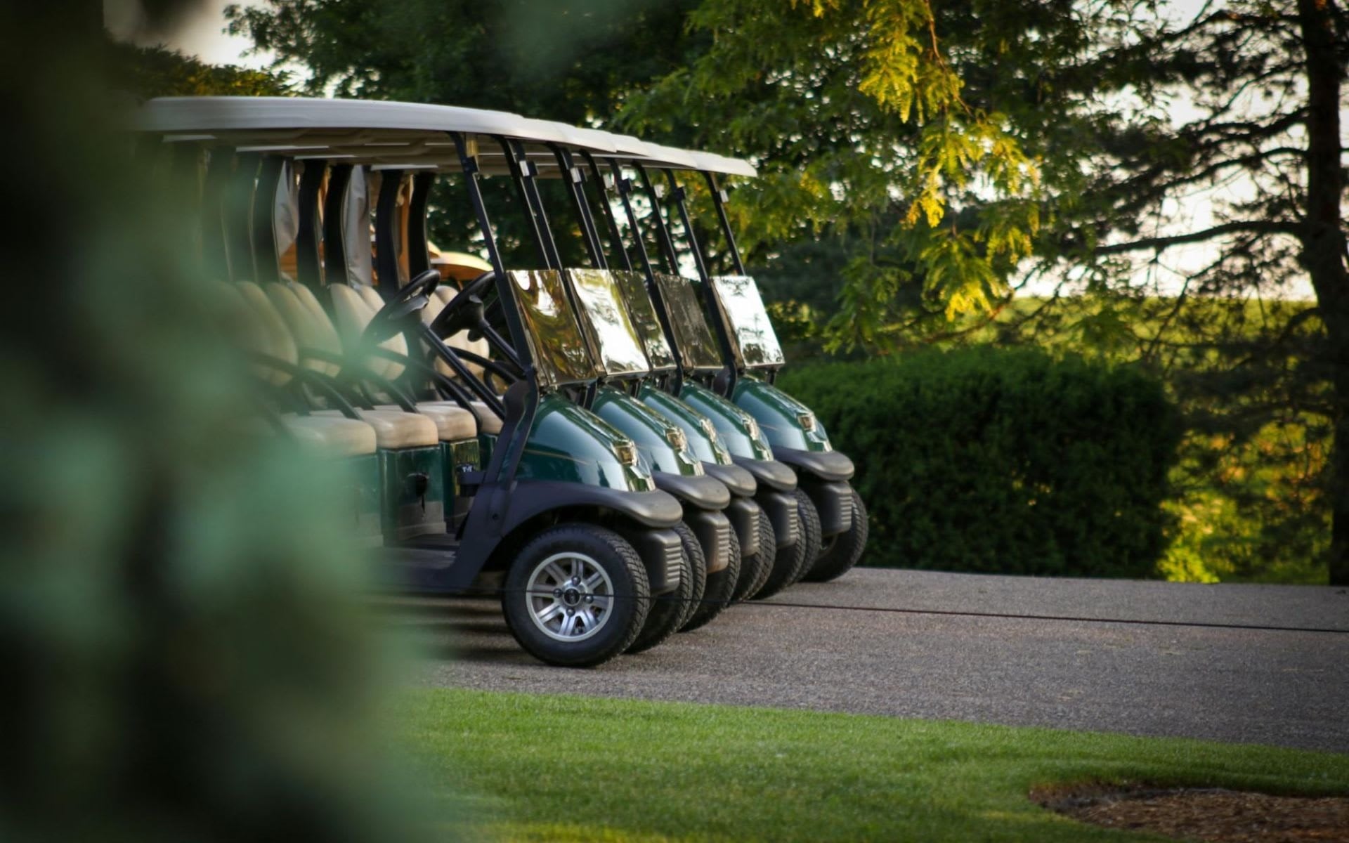 waxhxdb77i04taa3hjs6uz8r