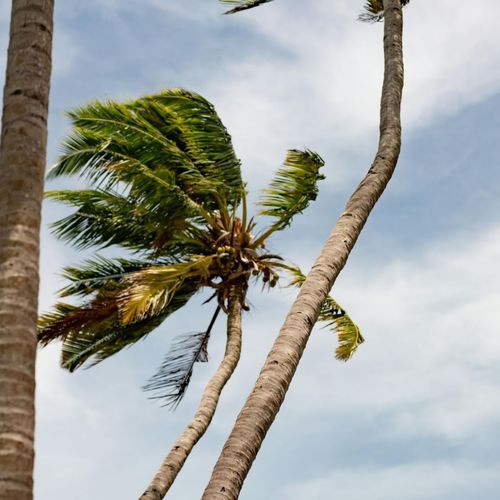 Hurricane-Proofing Your Longboat Key Home