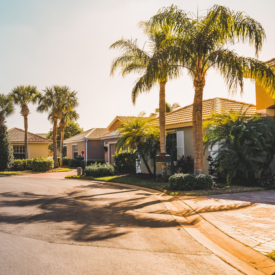 suburban area in arizona - Palmer Team