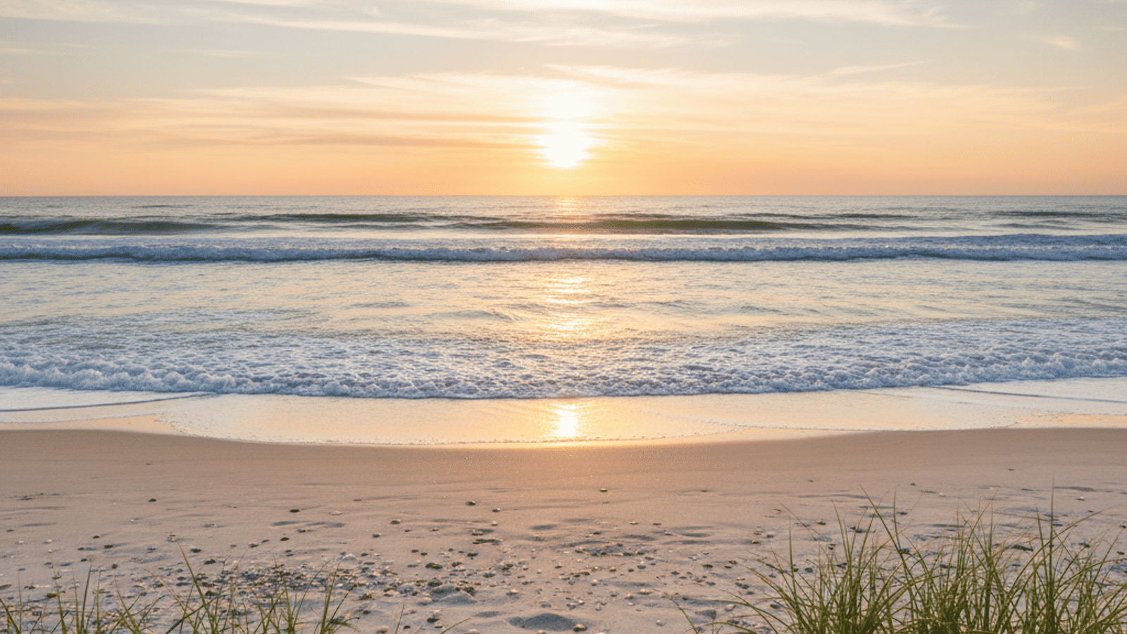 is_panama_city_beach_fl_good_for_young_professionals_tRFkG48nN