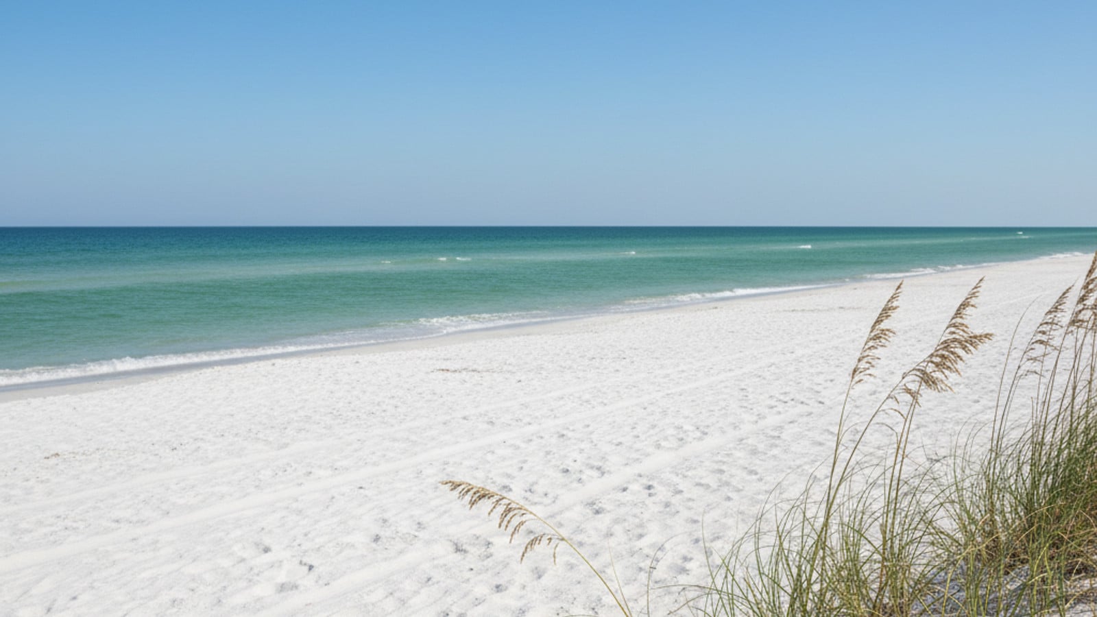 investing_in_panama_city_beach_fl_real_estate_-100051_-_5892__3bmNm9ba