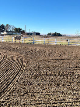 JR Steele - Land Img 2(1)