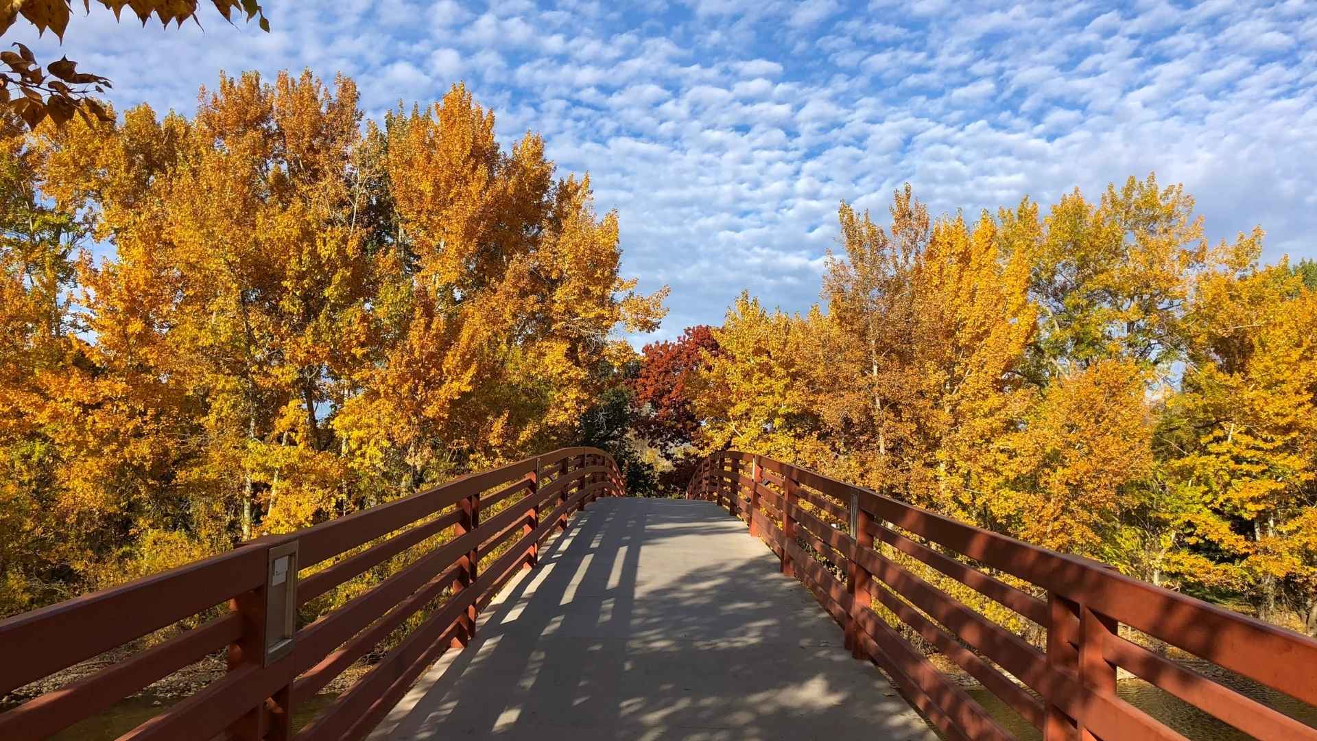 JR Steele - Relocation Img(2)