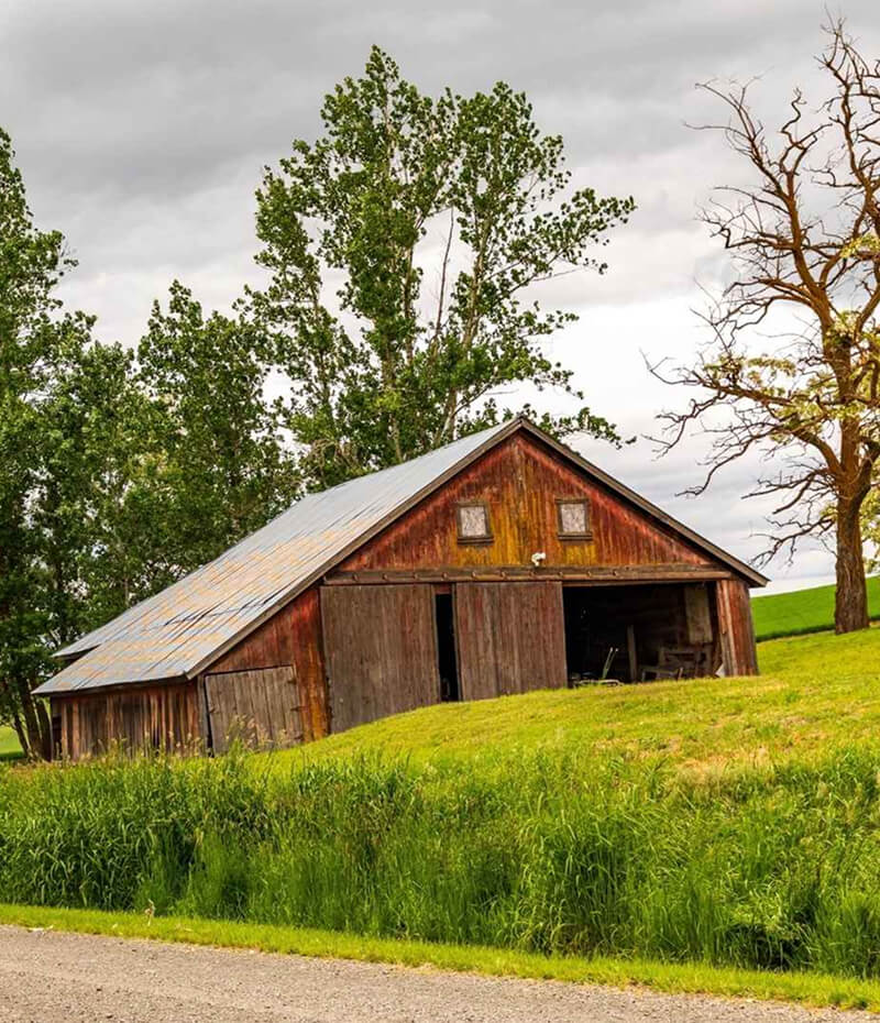 JR-Steele-About-Img 4(1)