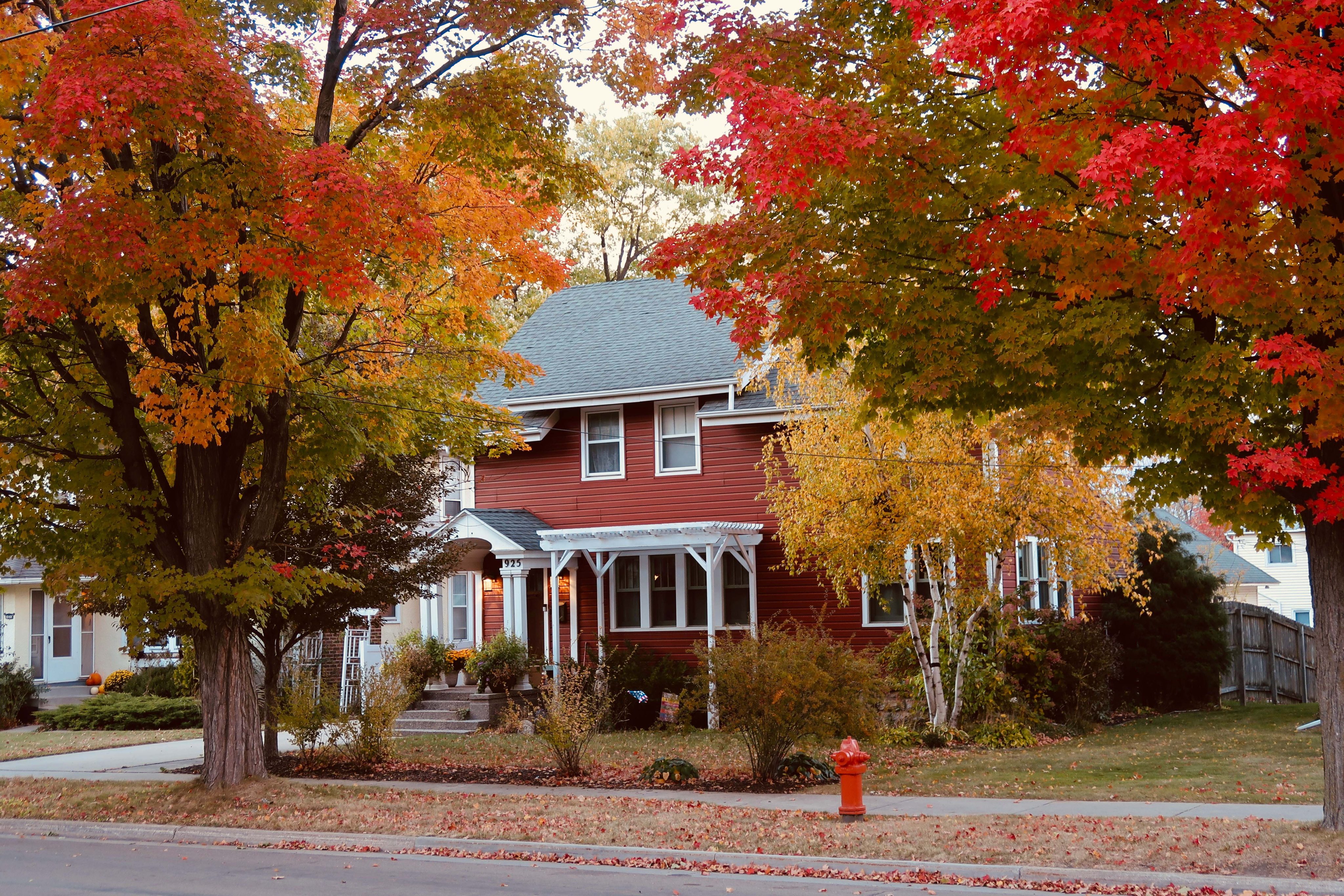 fall