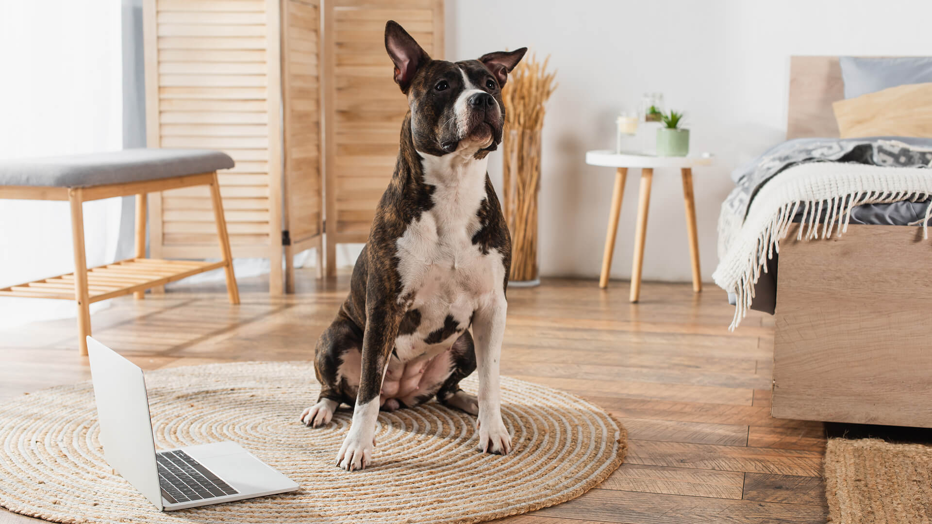 AI Home Search