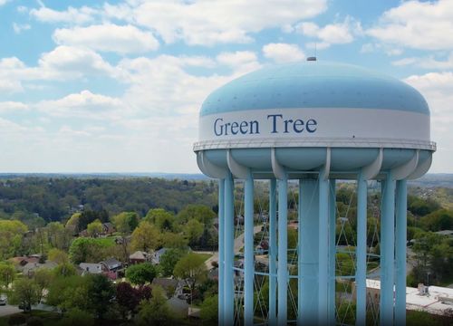 Greentree thumb