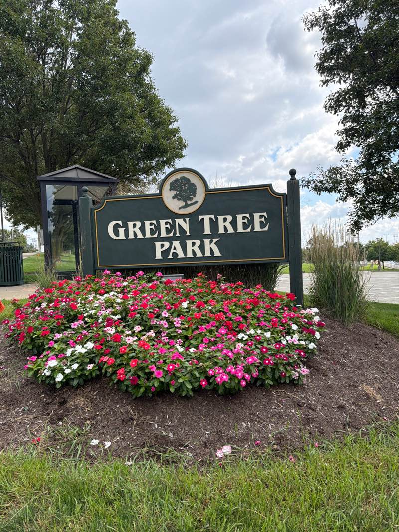 <span class="pre-headline">01</span>Nobody agrees on where the name "Green Tree" actually came from.