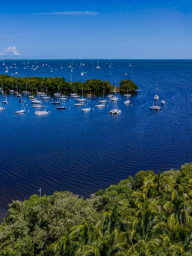 Coconut Grove