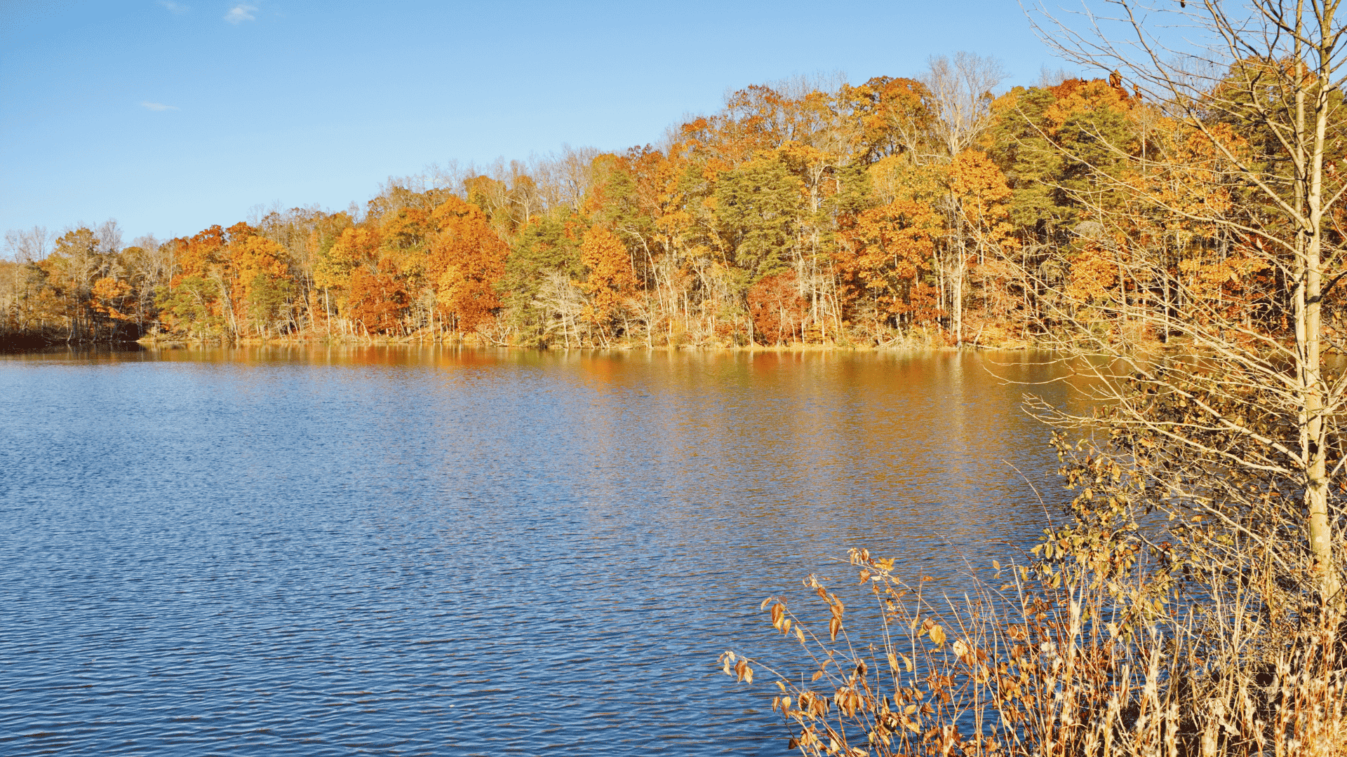 JPAR - Area Kernersville