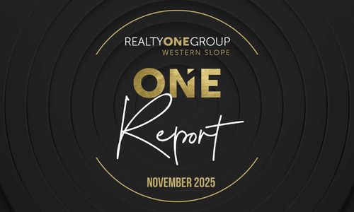 November 2025 ONE Report