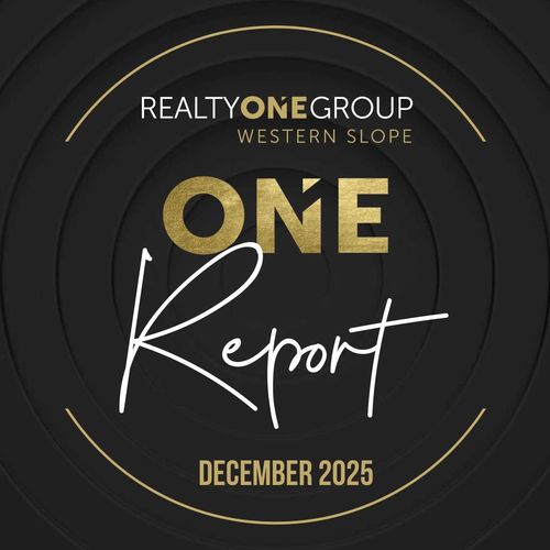 December 2025 ONE Report
