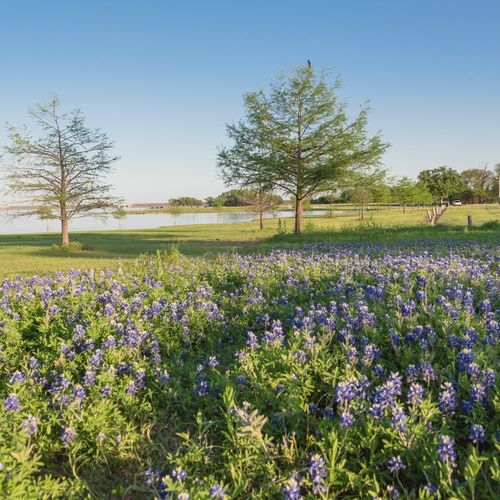 Wake Forest Outdoor Activities
