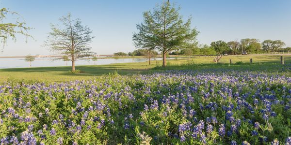 Wake Forest Outdoor Activities