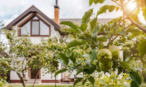 How to Make a Winning Offer in Wake &hellip;