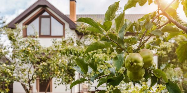 How to Make a Winning Offer in Wake &hellip;