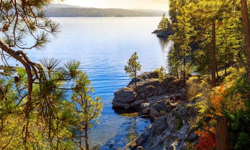 Moving to Wake Forest or Youngsville? Your Complete &hellip;