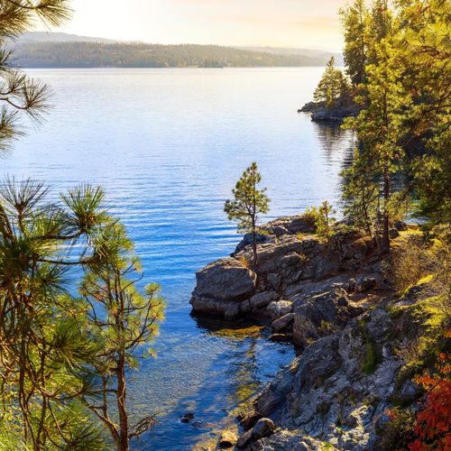 Moving to Wake Forest or Youngsville? Your Complete Relocation Guide