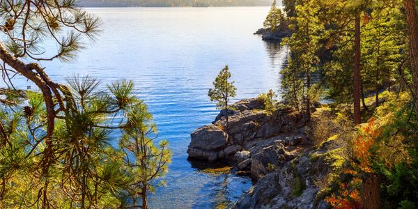 Moving to Wake Forest or Youngsville? Your Complete &hellip;