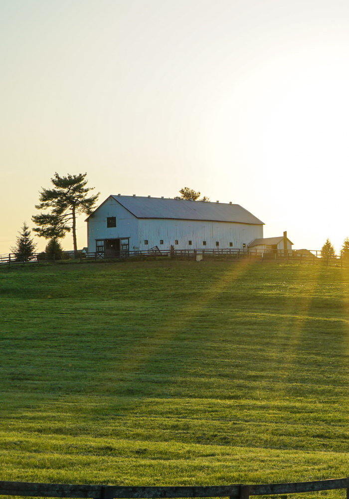 Handy Township, Michigan