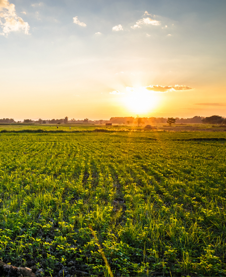 Iosco Township, Michigan