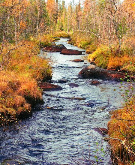 Marion Township, MichigaN