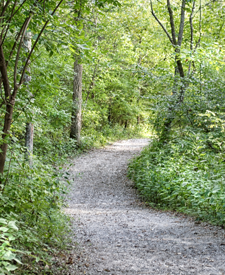 Putnam Township, Michigan