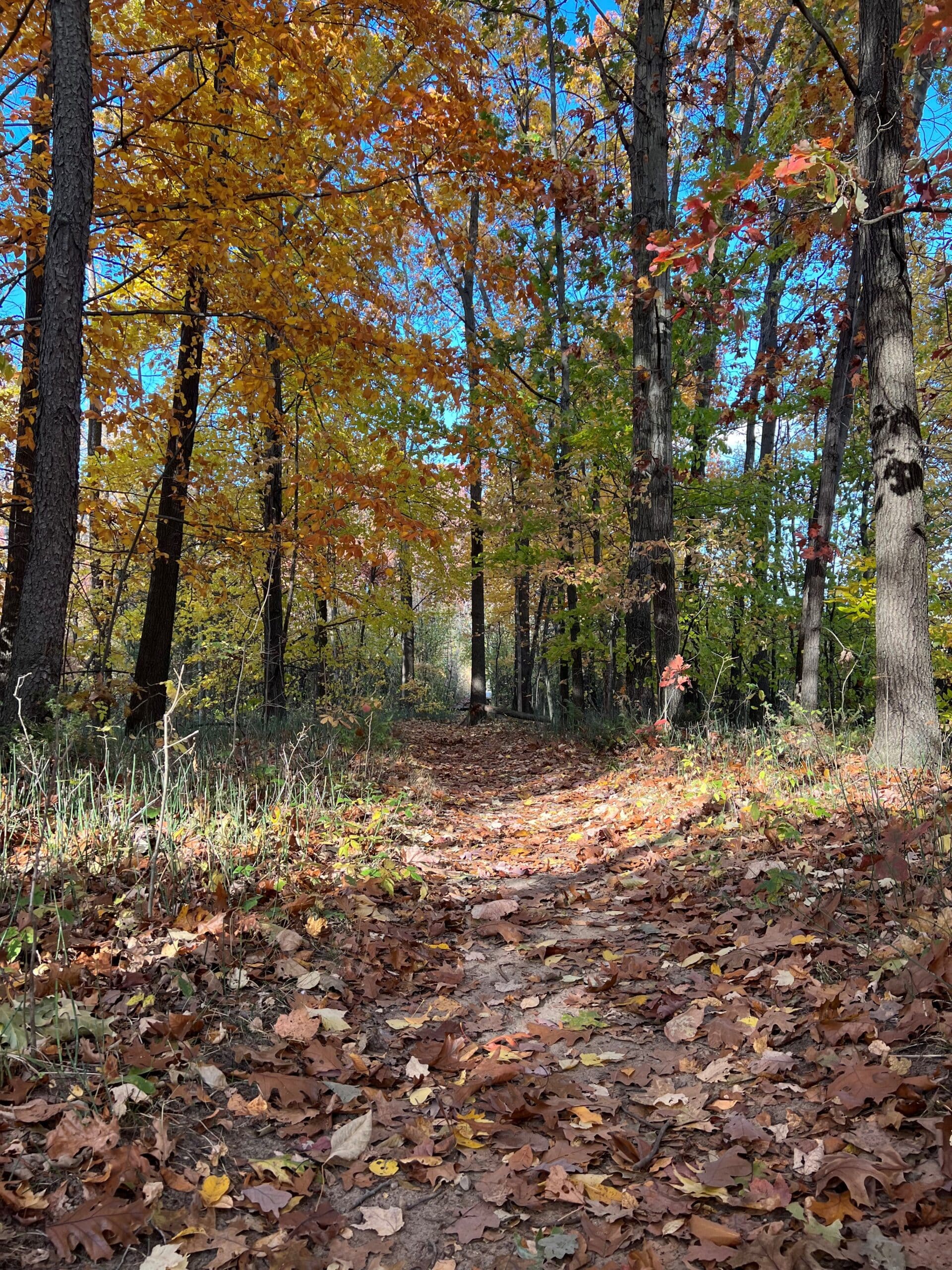 Deerfield Township, LIVINGSTON COUNTY Michigan