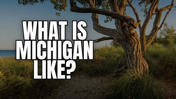 What's It like Living In Michigan?