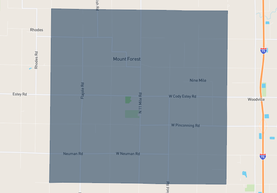 Mount Forest Township